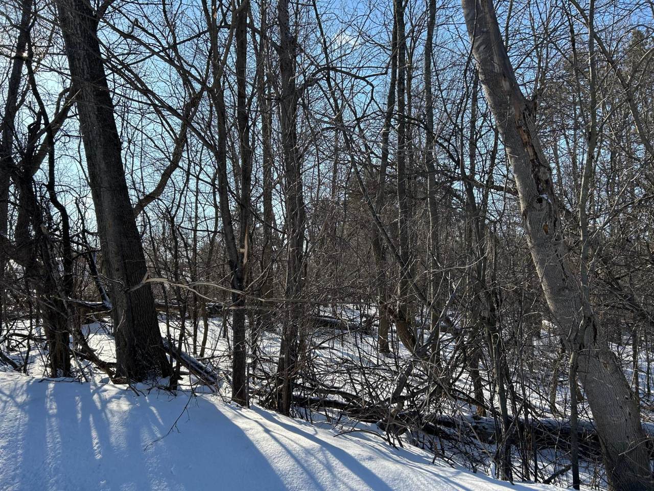 https://bt-photos.global.ssl.fastly.net/northwoods/1280_boomver_1_216361-2.jpg