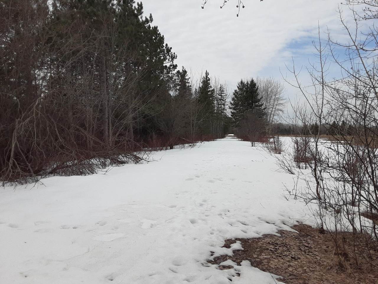https://bt-photos.global.ssl.fastly.net/northwoods/1280_boomver_1_216362-2.jpg