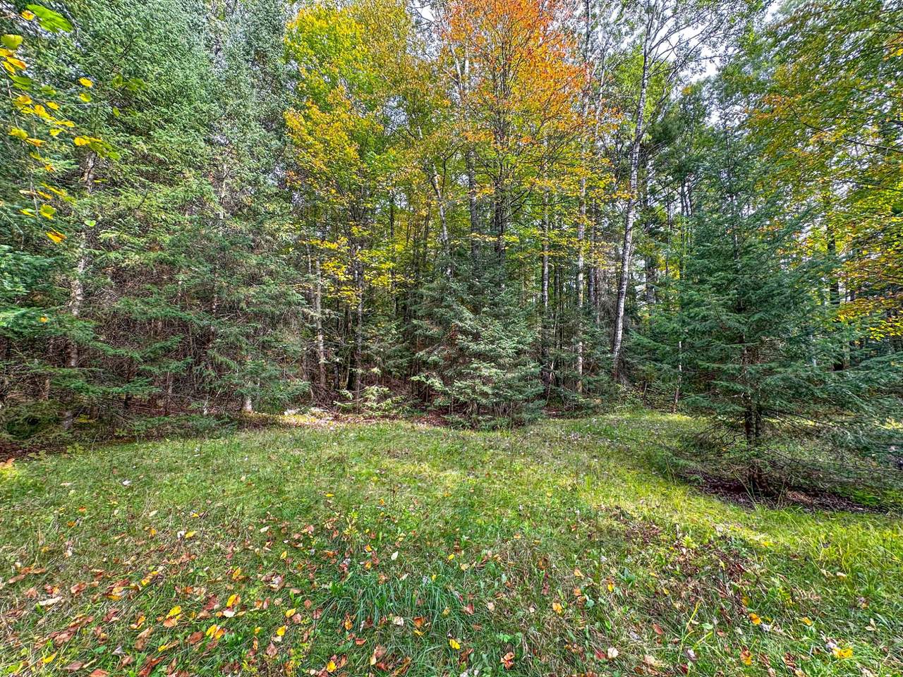 https://bt-photos.global.ssl.fastly.net/northwoods/1280_boomver_1_216365-2.jpg