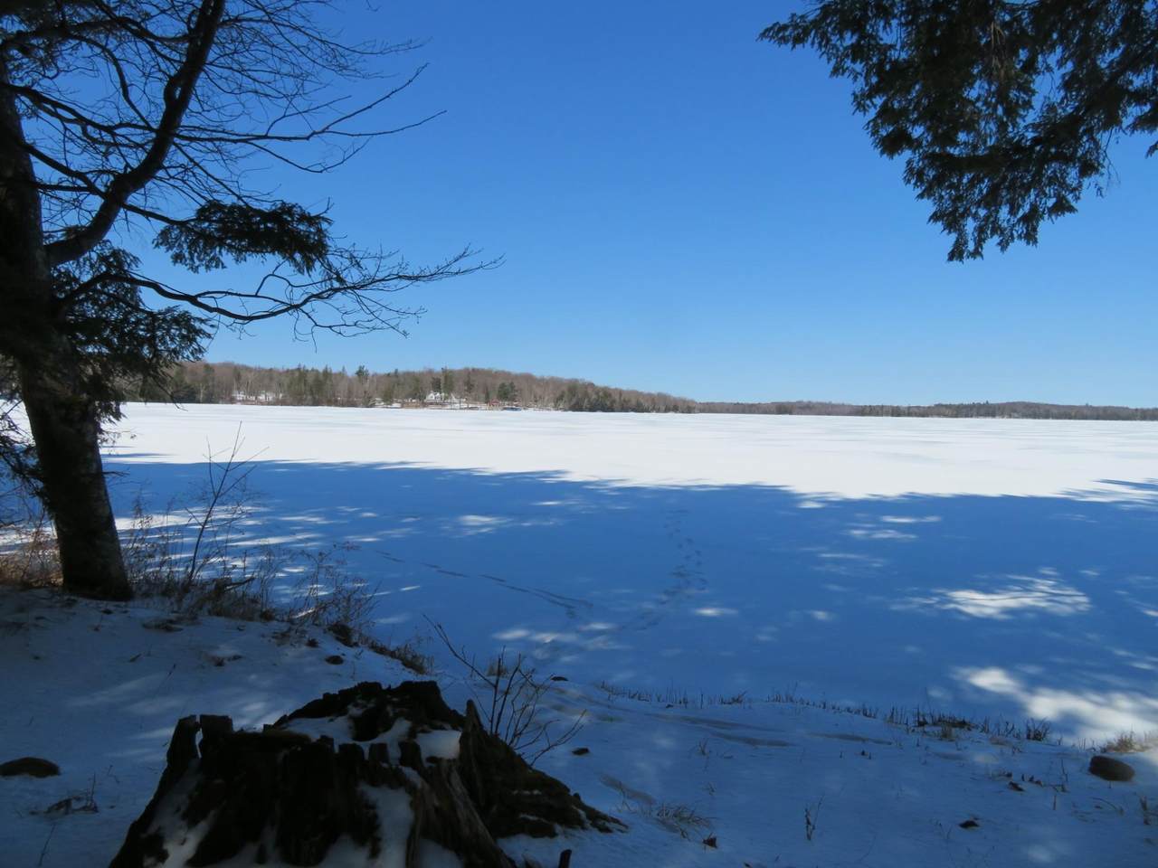 ON Enterprise Lake Rd - Photo 1