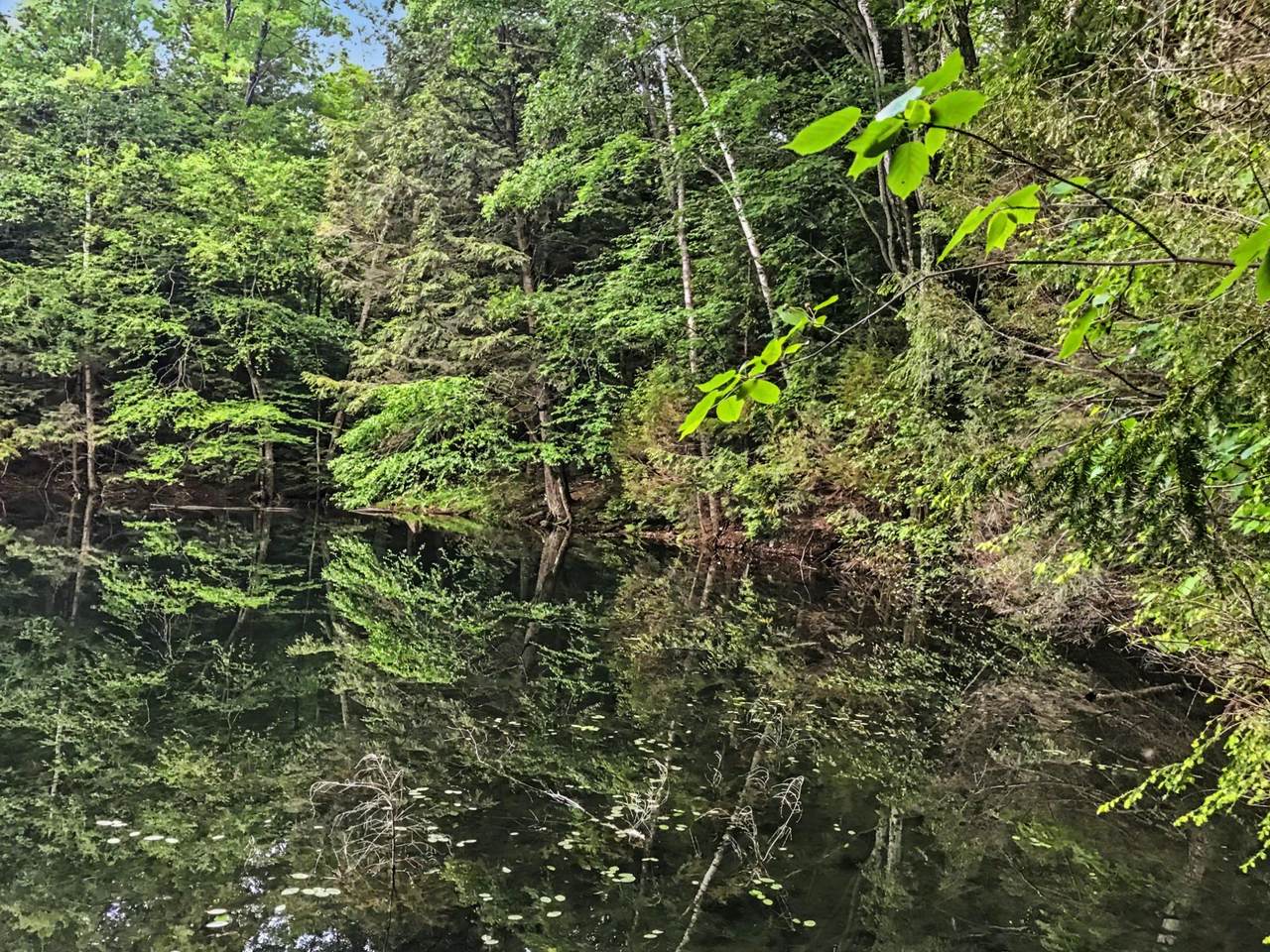 https://bt-photos.global.ssl.fastly.net/northwoods/1280_boomver_1_216369-2.jpg