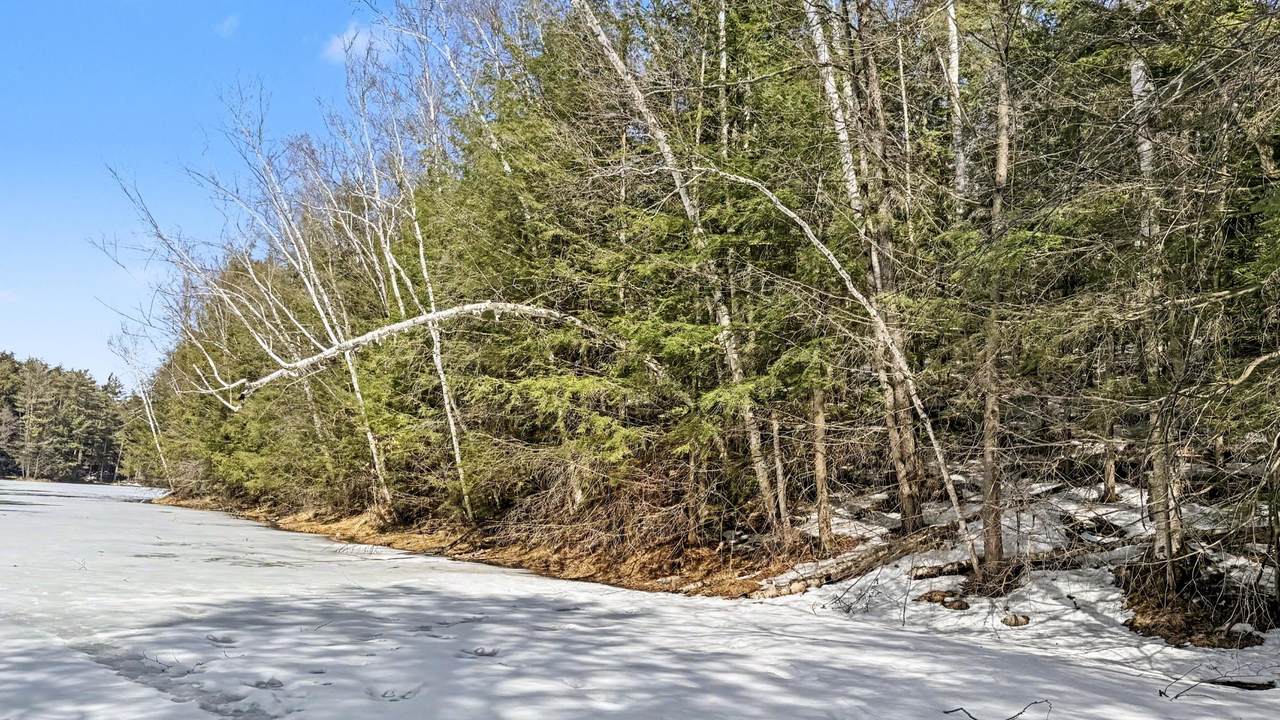 https://bt-photos.global.ssl.fastly.net/northwoods/1280_boomver_1_216369-2.jpg