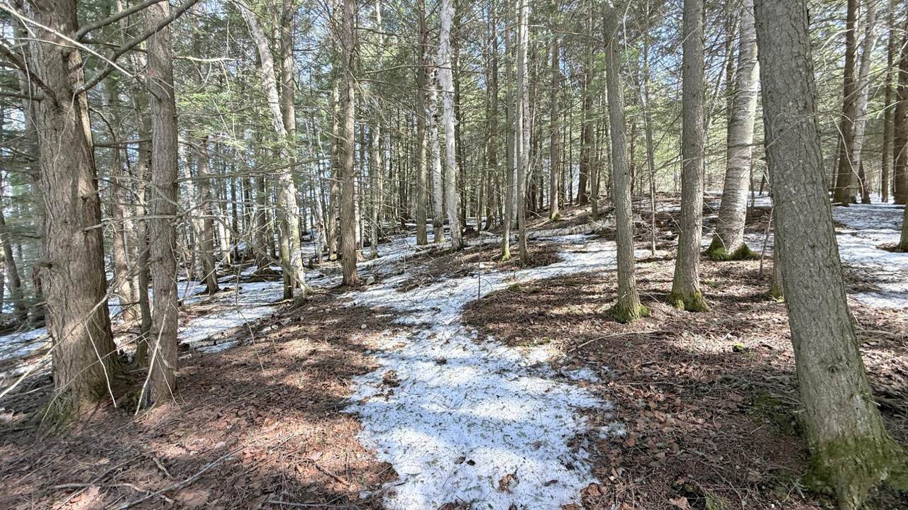 https://bt-photos.global.ssl.fastly.net/northwoods/1280_boomver_1_216370-2.jpg