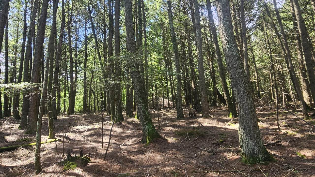 https://bt-photos.global.ssl.fastly.net/northwoods/1280_boomver_1_216387-2.jpg