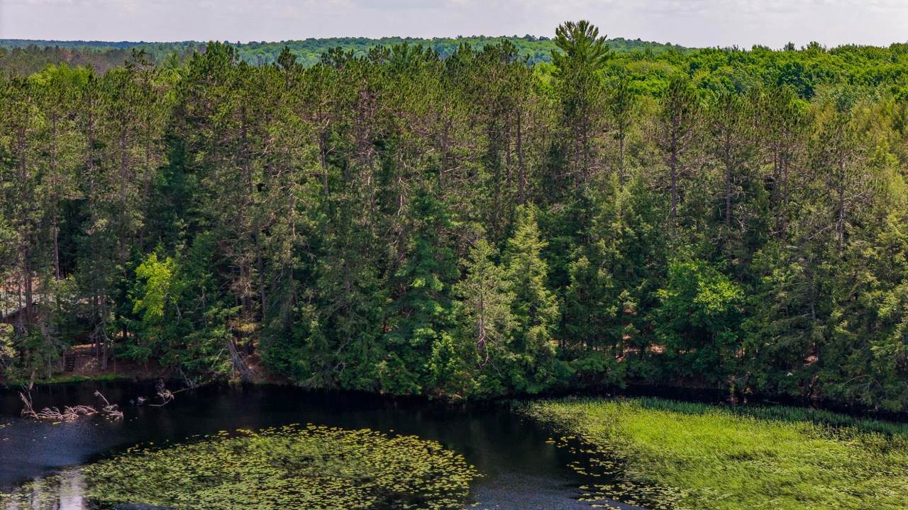 https://bt-photos.global.ssl.fastly.net/northwoods/1280_boomver_1_216388-2.jpg