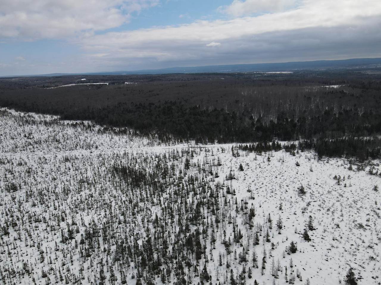 https://bt-photos.global.ssl.fastly.net/northwoods/1280_boomver_1_216438-2.jpg