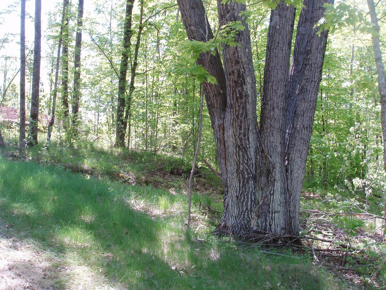 https://bt-photos.global.ssl.fastly.net/northwoods/1280_boomver_1_216498-2.jpg