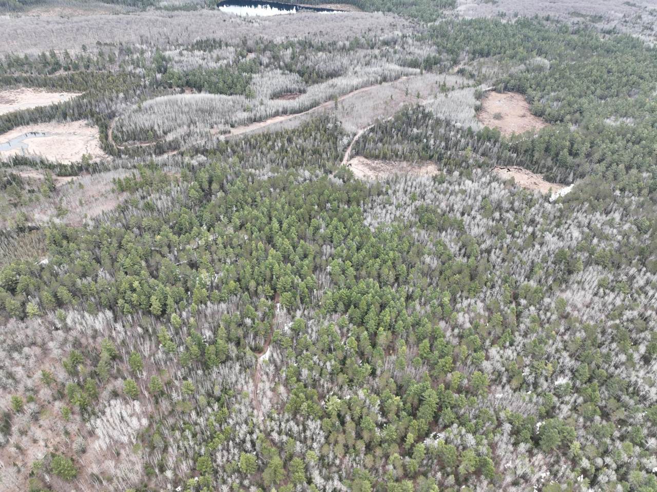 7685 Old B Rd - Photo 1
