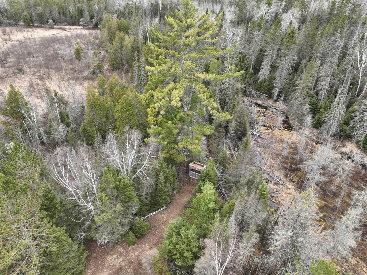 https://bt-photos.global.ssl.fastly.net/northwoods/1280_boomver_1_216570-2.jpg