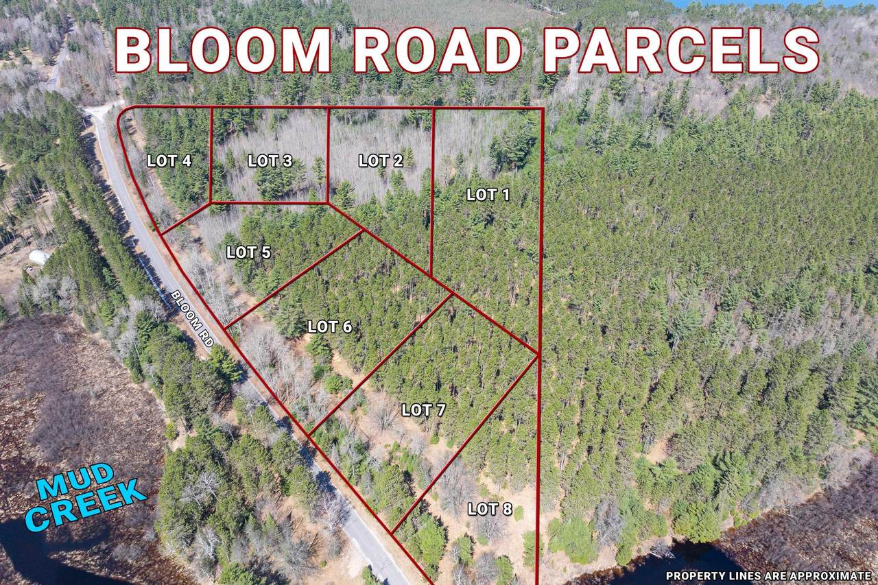 Lot 7 Bloom Rd - Photo 1