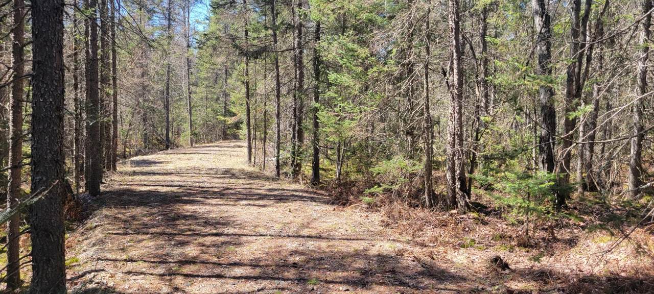 5350 Pineaire Dr - Photo 1