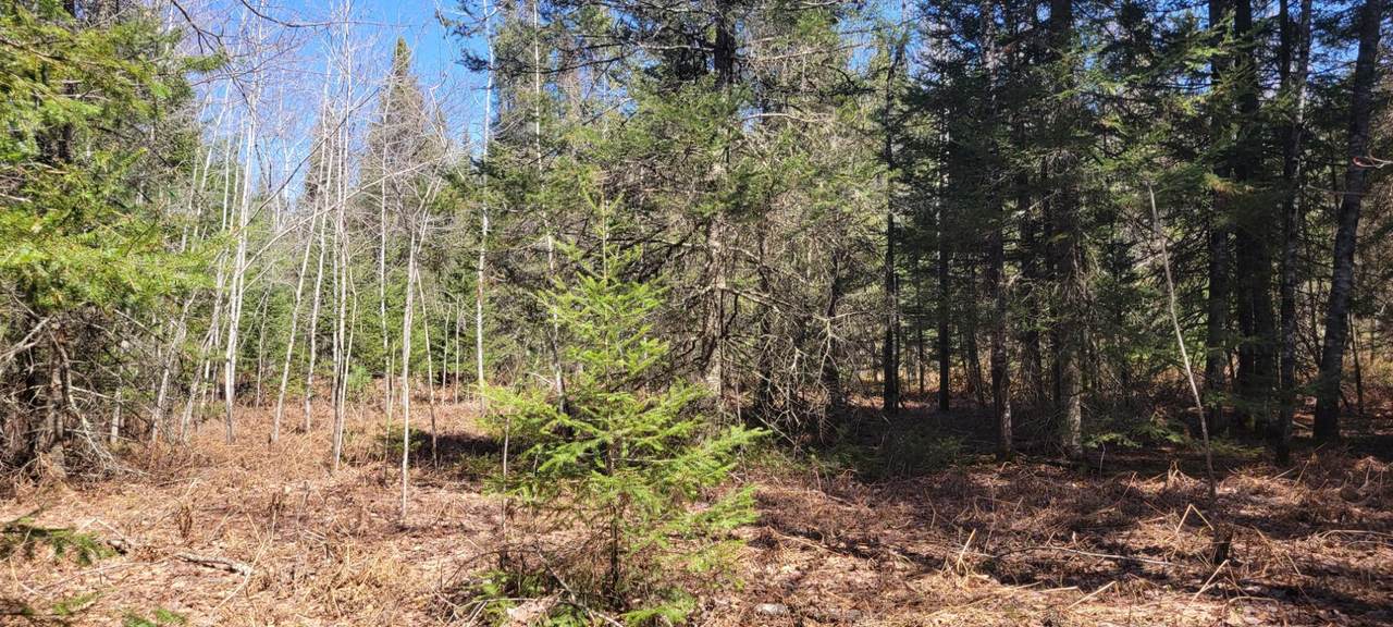 https://bt-photos.global.ssl.fastly.net/northwoods/1280_boomver_1_216643-2.jpg