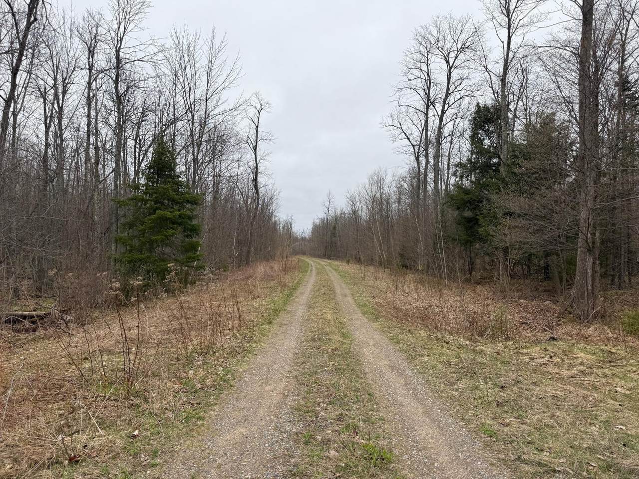 https://bt-photos.global.ssl.fastly.net/northwoods/1280_boomver_1_216657-2.jpg