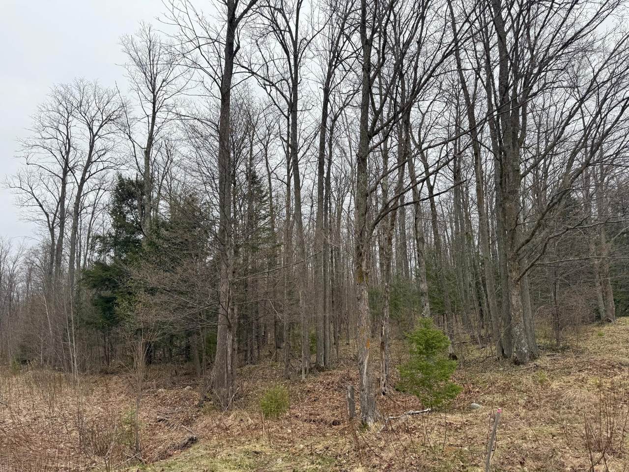 https://bt-photos.global.ssl.fastly.net/northwoods/1280_boomver_1_216657-2.jpg