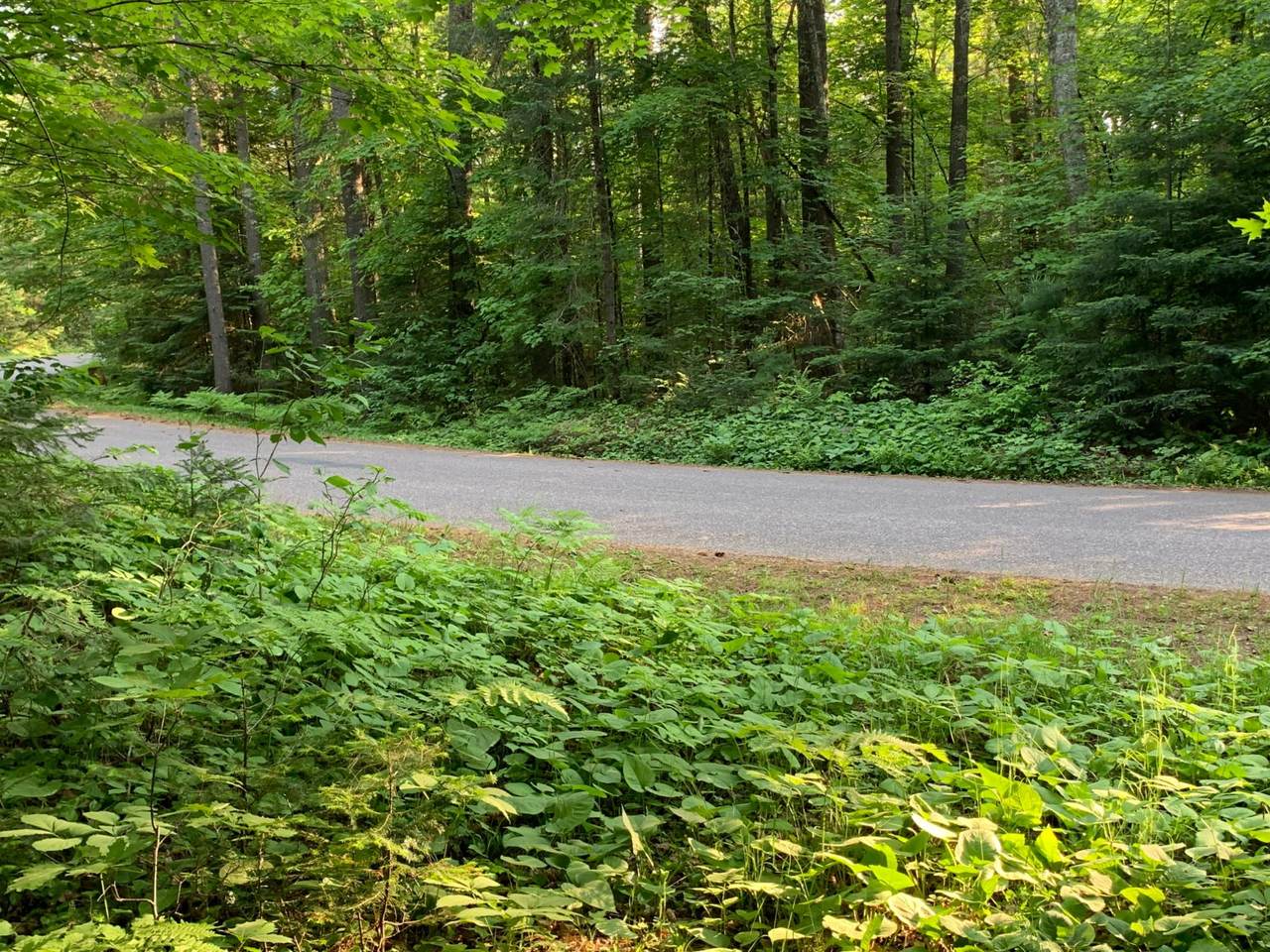 https://bt-photos.global.ssl.fastly.net/northwoods/1280_boomver_1_216689-2.jpg