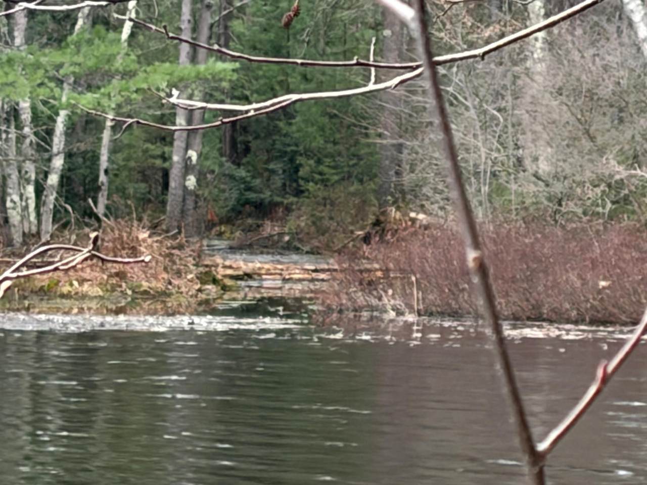 ON Whispering Pines Rd - Photo 1