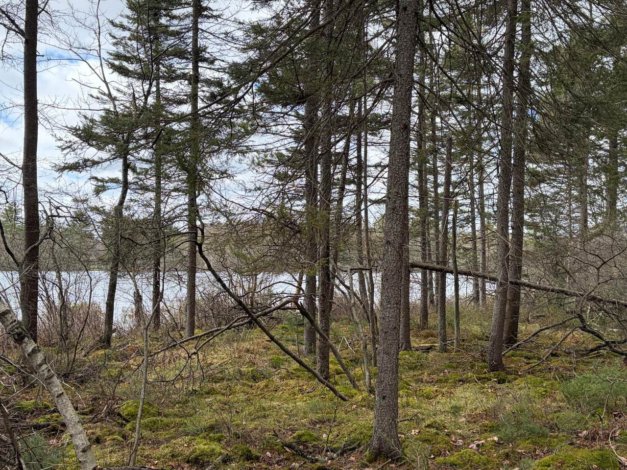 https://bt-photos.global.ssl.fastly.net/northwoods/1280_boomver_1_216704-2.jpg