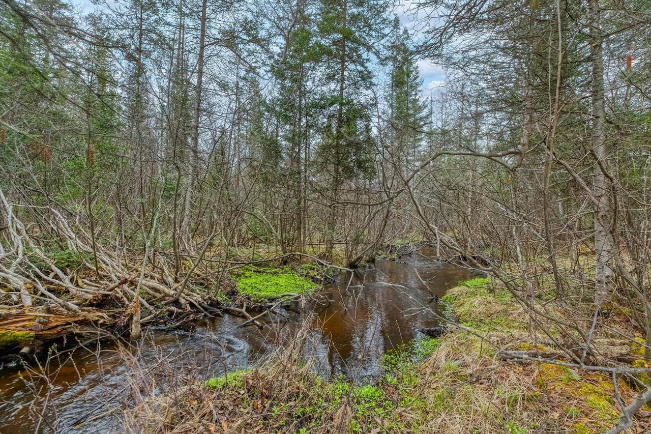 https://bt-photos.global.ssl.fastly.net/northwoods/1280_boomver_1_216718-2.jpg