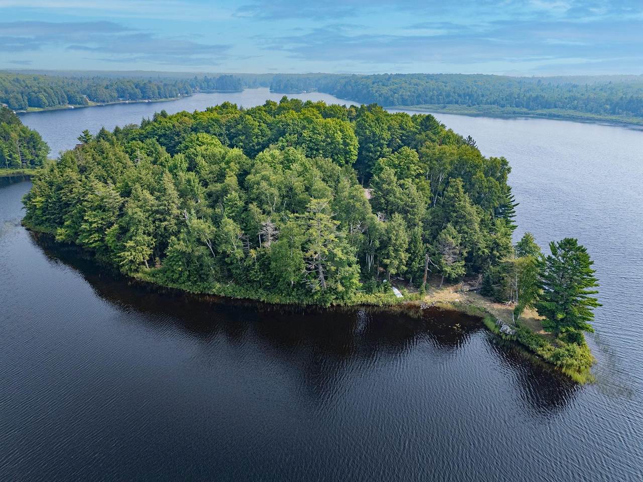 8009 Peltonen Rd - Photo 1
