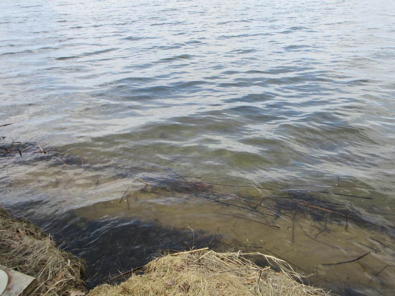 https://bt-photos.global.ssl.fastly.net/northwoods/1280_boomver_1_216738-2.jpg