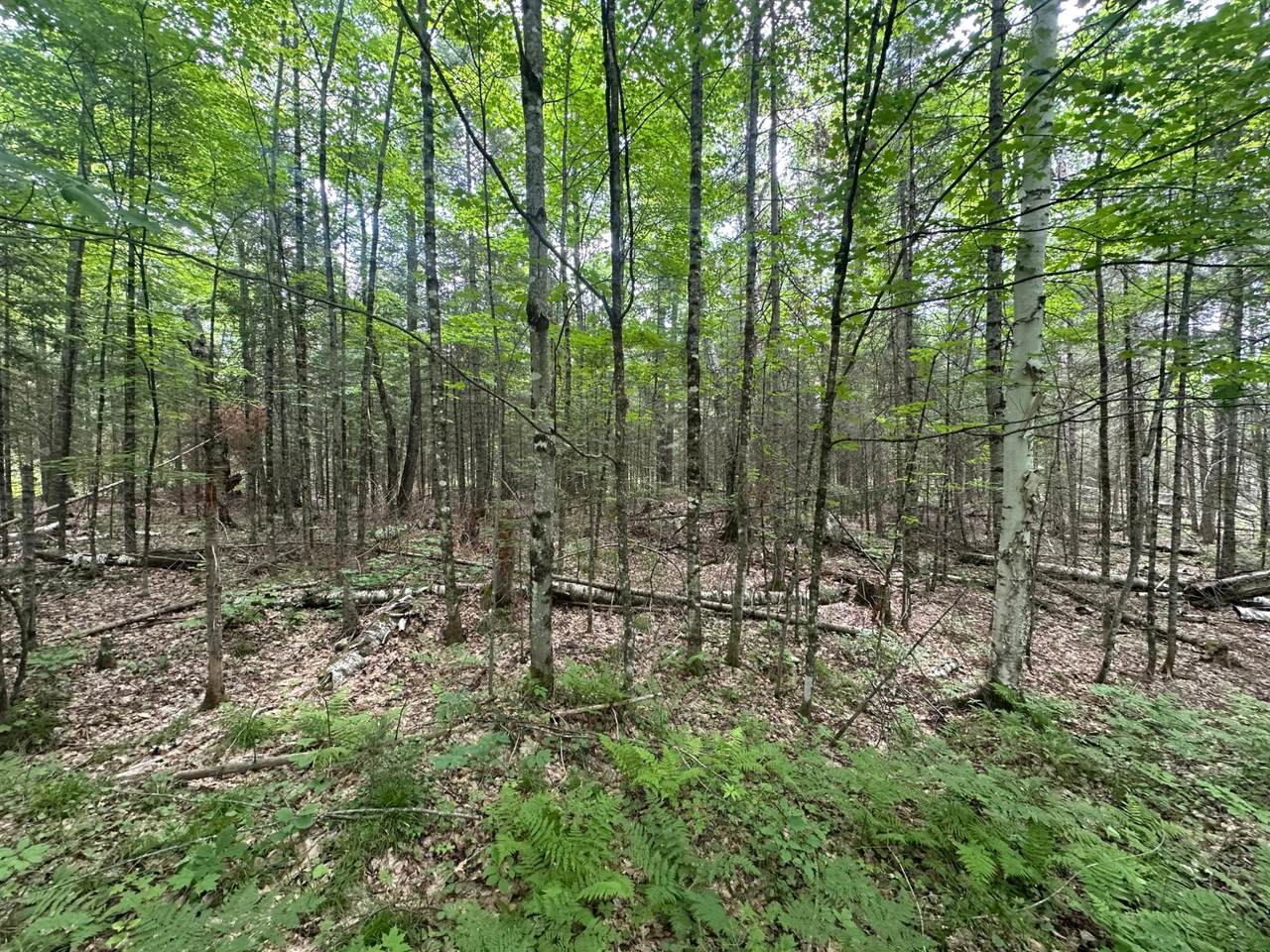 https://bt-photos.global.ssl.fastly.net/northwoods/1280_boomver_1_216743-2.jpg