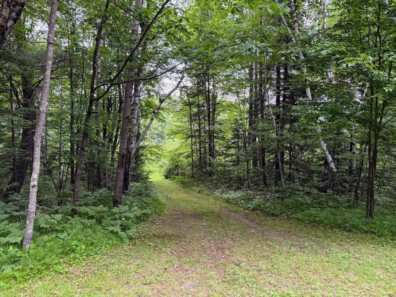 https://bt-photos.global.ssl.fastly.net/northwoods/1280_boomver_1_216747-2.jpg