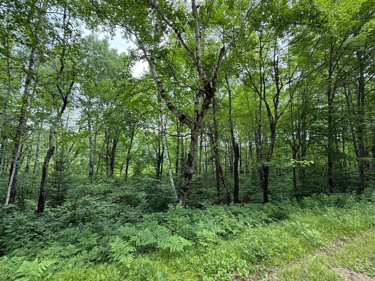 https://bt-photos.global.ssl.fastly.net/northwoods/1280_boomver_1_216748-2.jpg