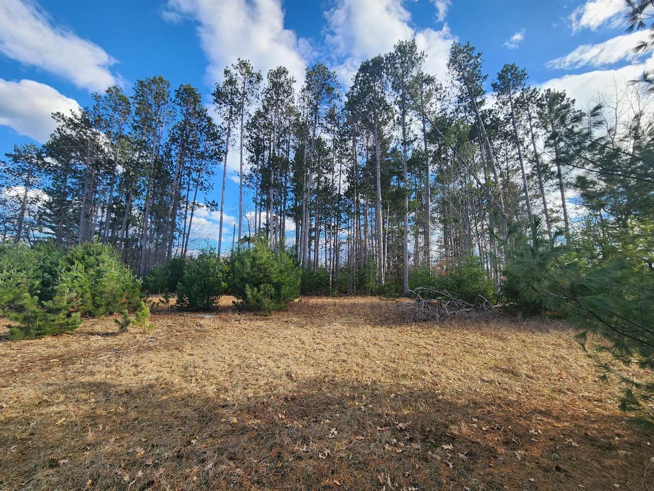2 Lots Plaza Dr - Photo 1