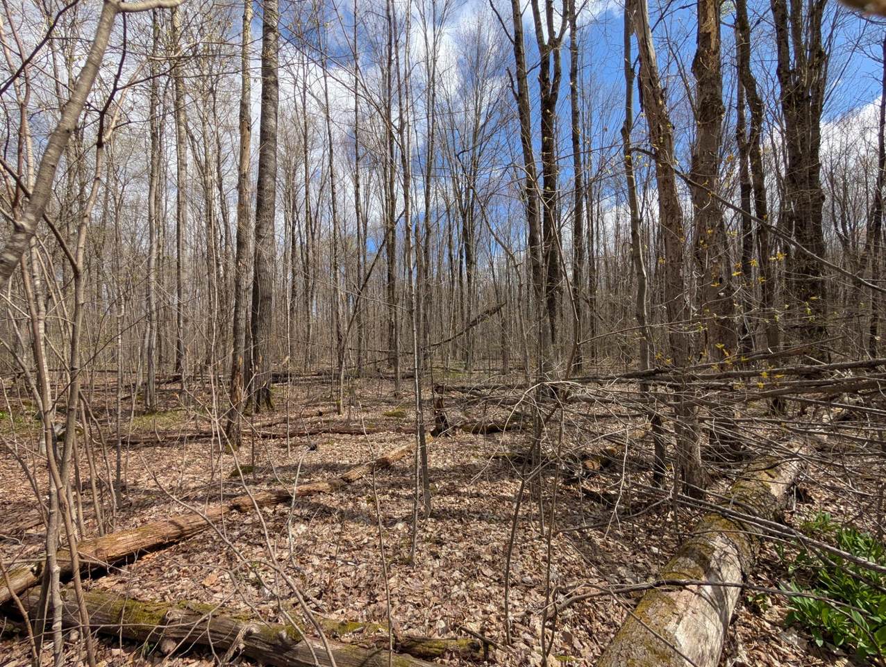 https://bt-photos.global.ssl.fastly.net/northwoods/1280_boomver_1_216793-2.jpg