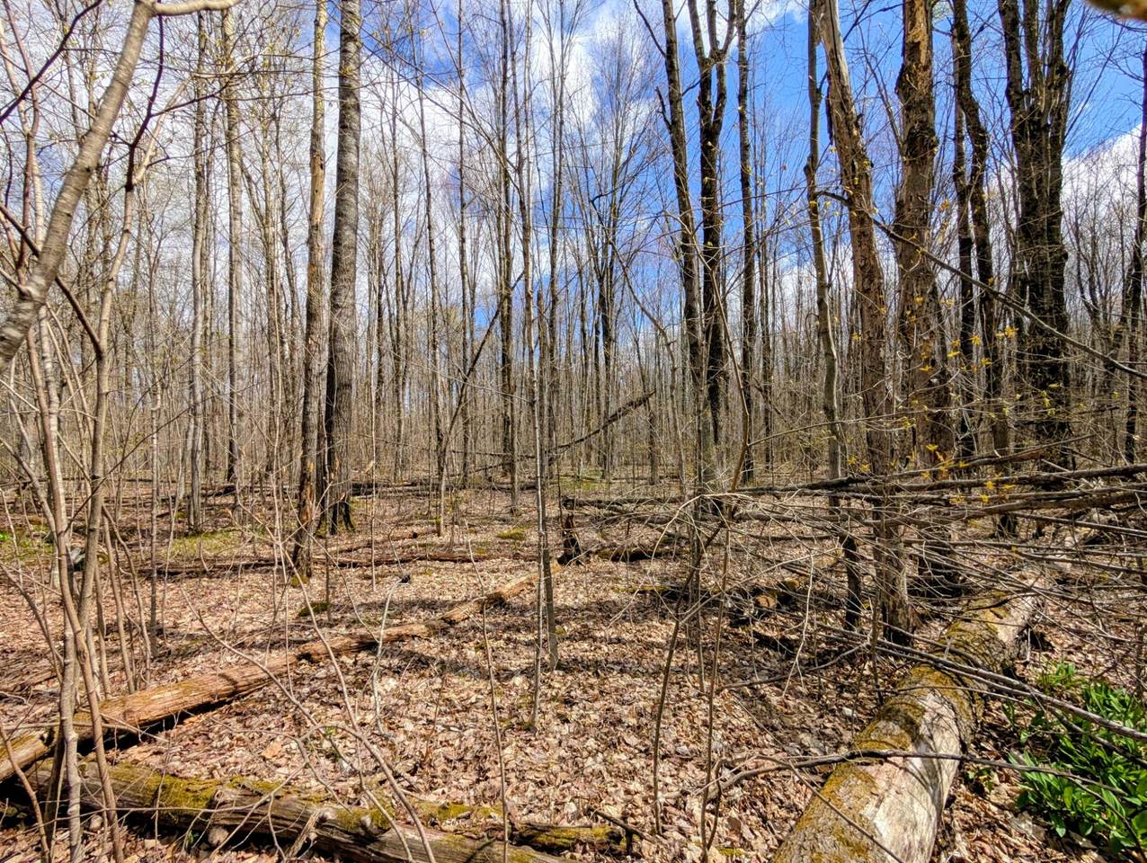 https://bt-photos.global.ssl.fastly.net/northwoods/1280_boomver_1_216793-2.jpg
