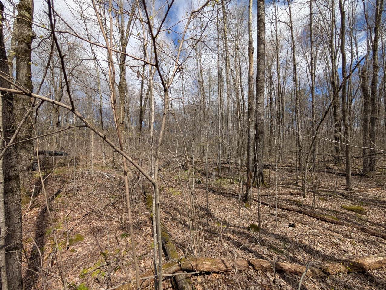 https://bt-photos.global.ssl.fastly.net/northwoods/1280_boomver_1_216793-2.jpg