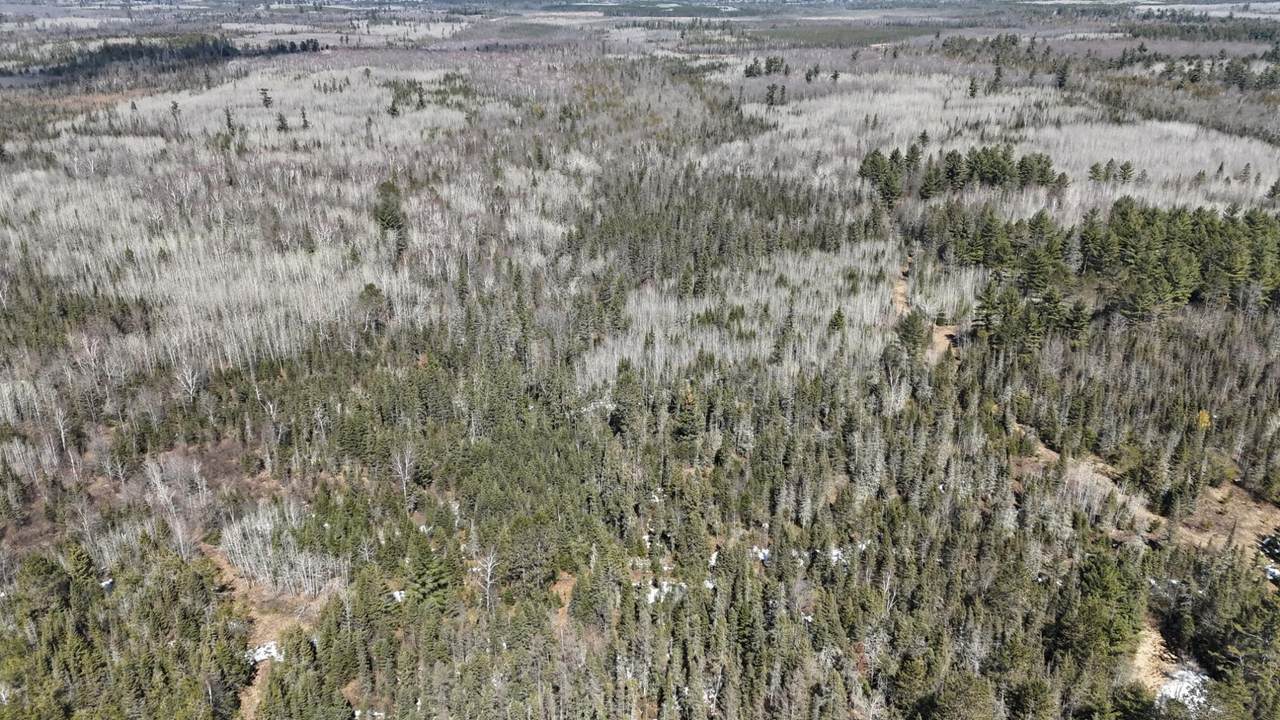 80 Acres Cth Cc - Photo 1