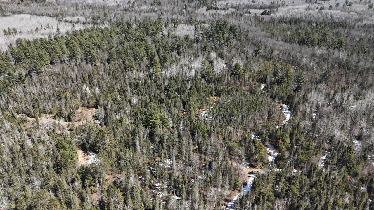 https://bt-photos.global.ssl.fastly.net/northwoods/1280_boomver_1_216798-2.jpg
