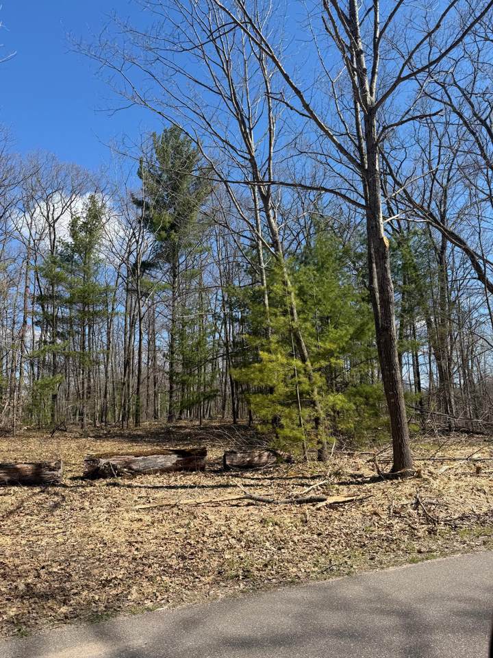 https://bt-photos.global.ssl.fastly.net/northwoods/1280_boomver_1_216801-2.jpg