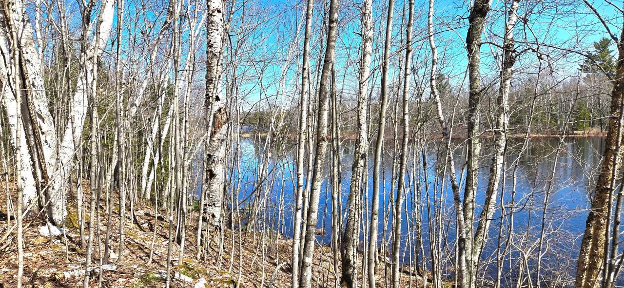 https://bt-photos.global.ssl.fastly.net/northwoods/1280_boomver_1_216830-2.jpg