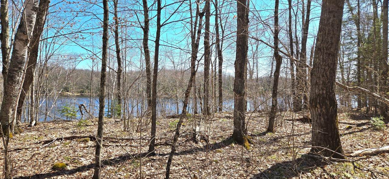 https://bt-photos.global.ssl.fastly.net/northwoods/1280_boomver_1_216830-2.jpg
