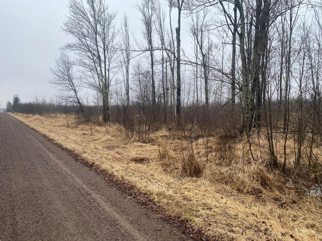 https://bt-photos.global.ssl.fastly.net/northwoods/1280_boomver_1_216842-2.jpg
