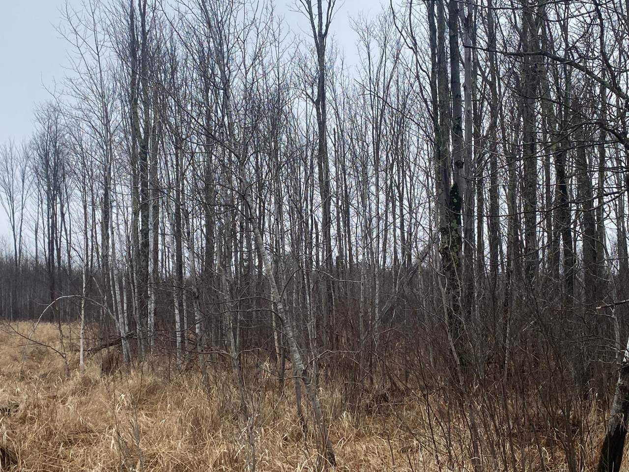 https://bt-photos.global.ssl.fastly.net/northwoods/1280_boomver_1_216842-2.jpg