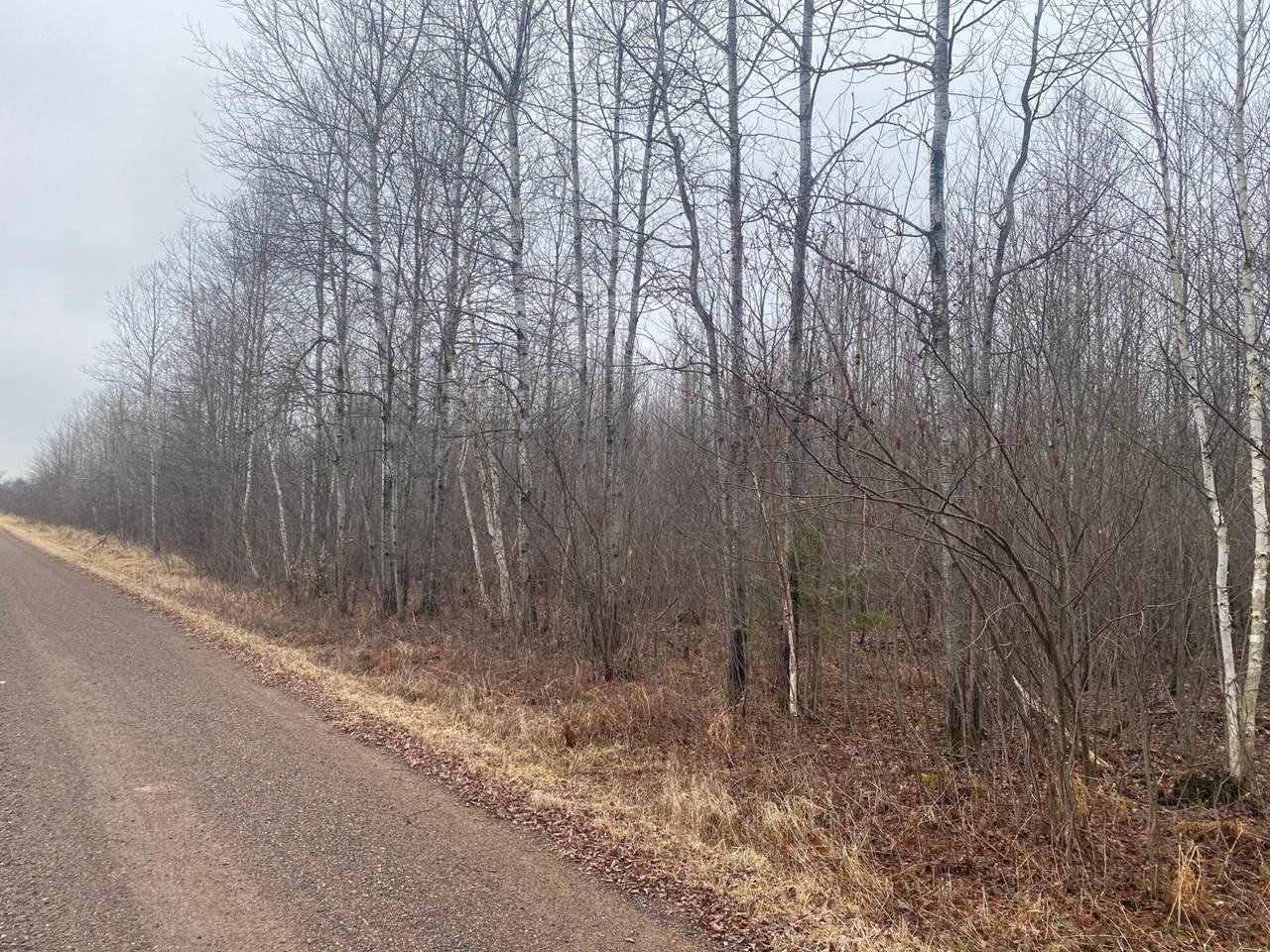 ON Shauger Rd - Photo 1