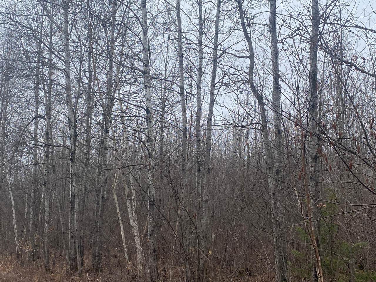 https://bt-photos.global.ssl.fastly.net/northwoods/1280_boomver_1_216843-2.jpg
