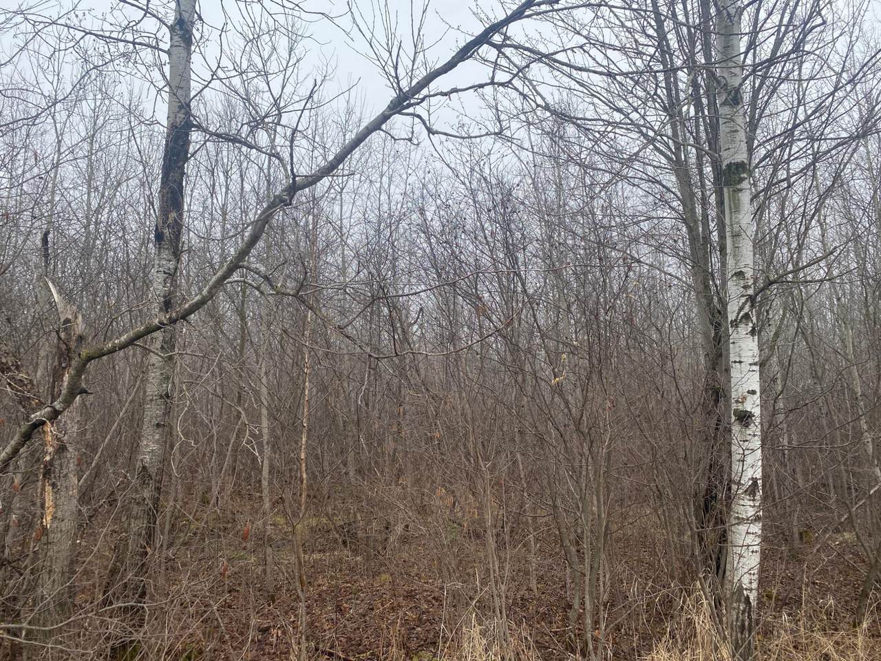 https://bt-photos.global.ssl.fastly.net/northwoods/1280_boomver_1_216843-2.jpg