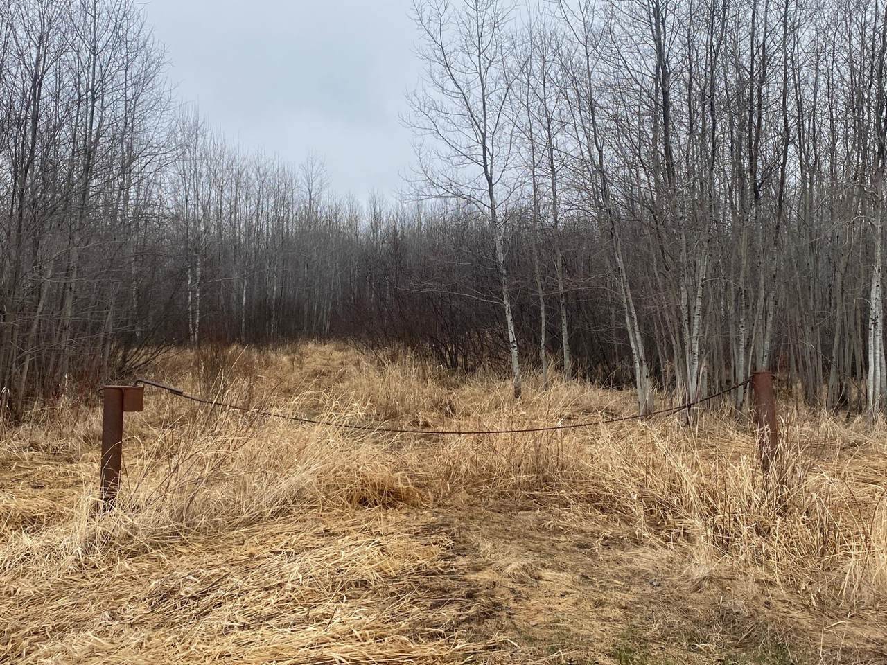 https://bt-photos.global.ssl.fastly.net/northwoods/1280_boomver_1_216843-2.jpg