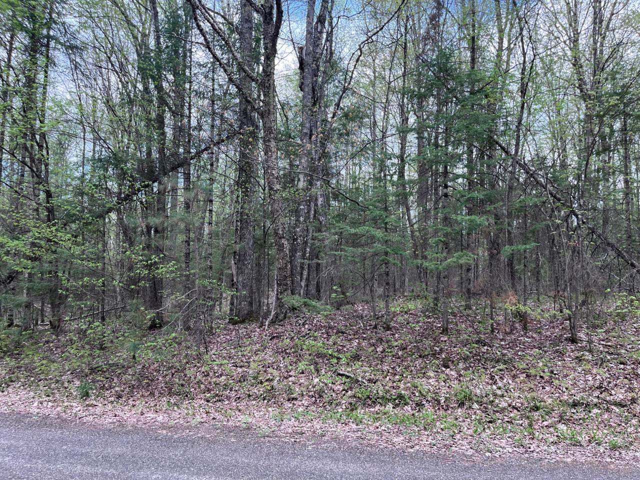 Off Moonshine Valley Rd - Photo 1