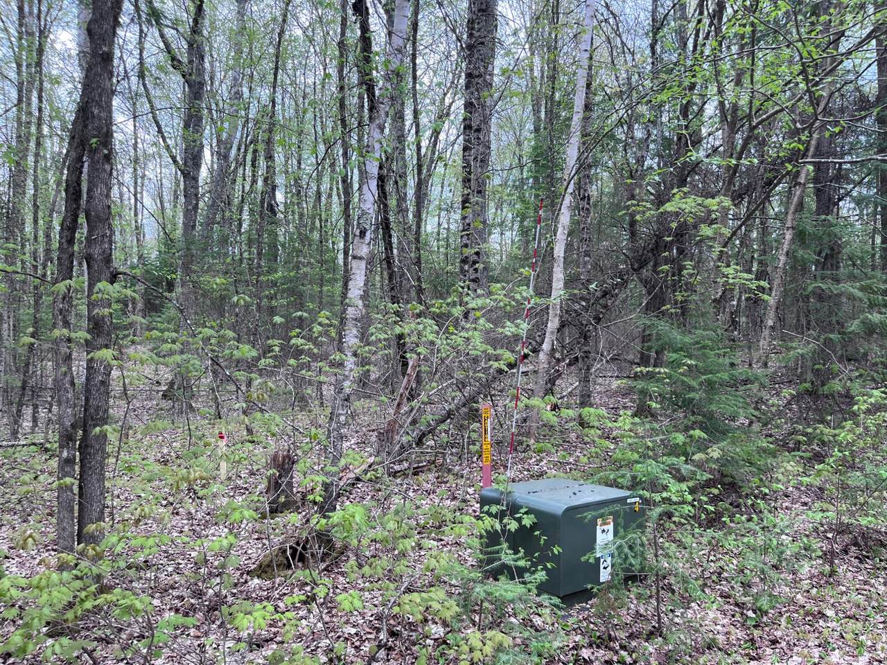 https://bt-photos.global.ssl.fastly.net/northwoods/1280_boomver_1_216847-2.jpg