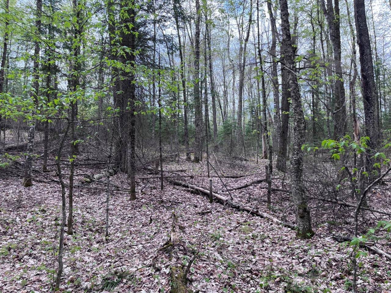 https://bt-photos.global.ssl.fastly.net/northwoods/1280_boomver_1_216847-2.jpg