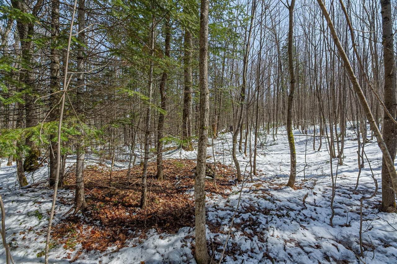 56+/- Ac Hwy 77 - Photo 1