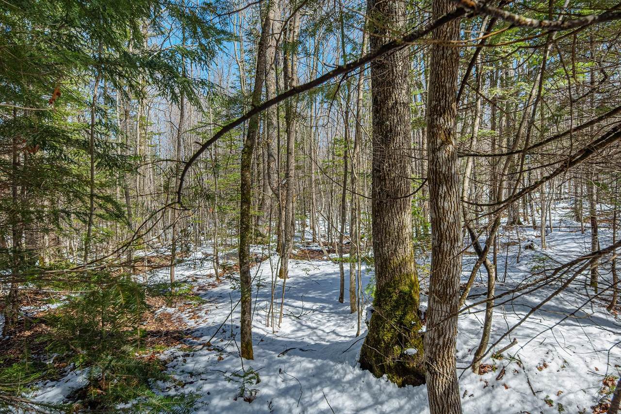 https://bt-photos.global.ssl.fastly.net/northwoods/1280_boomver_1_216906-2.jpg