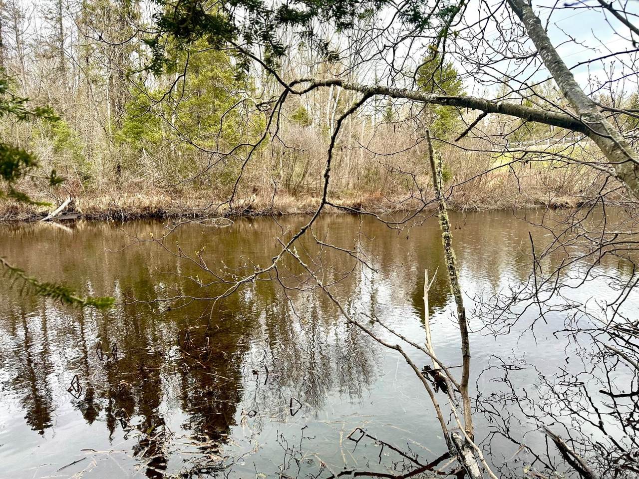 2 Acres St Louis Rd - Photo 1