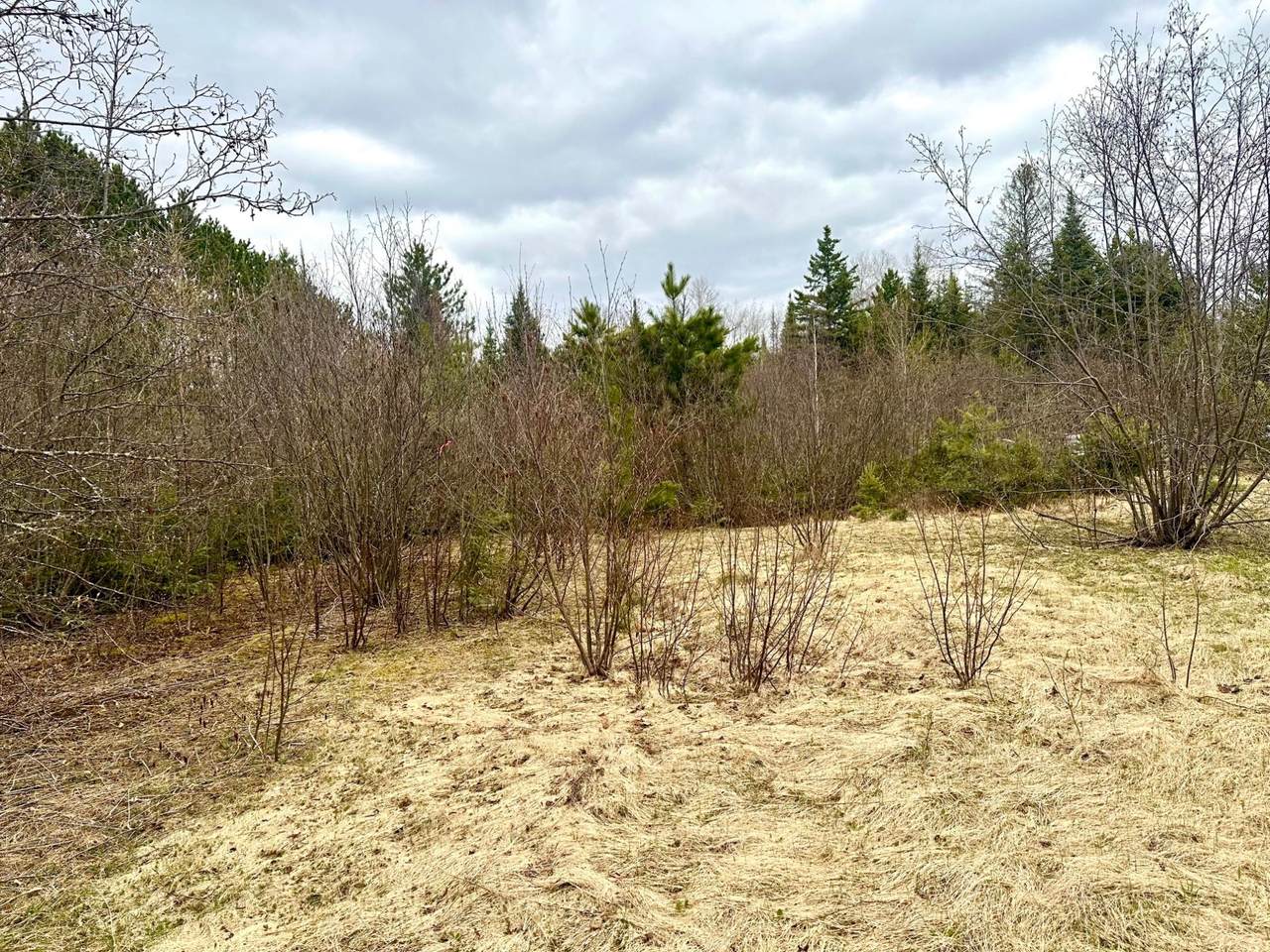 https://bt-photos.global.ssl.fastly.net/northwoods/1280_boomver_1_216920-2.jpg