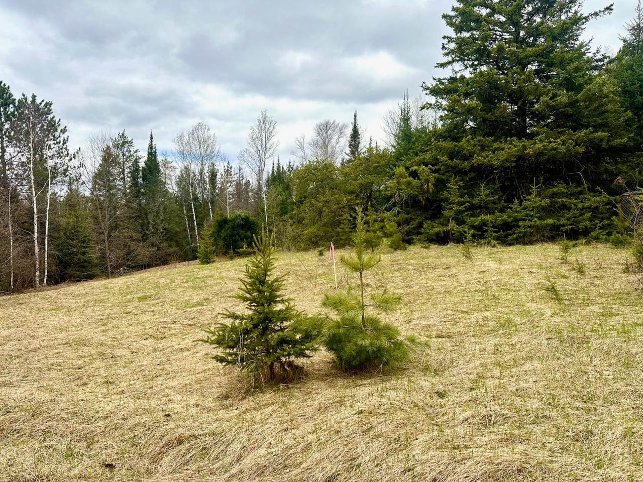 https://bt-photos.global.ssl.fastly.net/northwoods/1280_boomver_1_216920-2.jpg